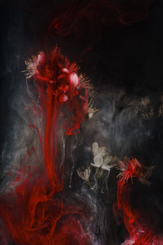 Angi Wallace-3- Open