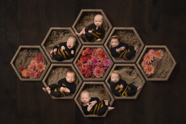 Clare Perry-Entry 2- Newborn