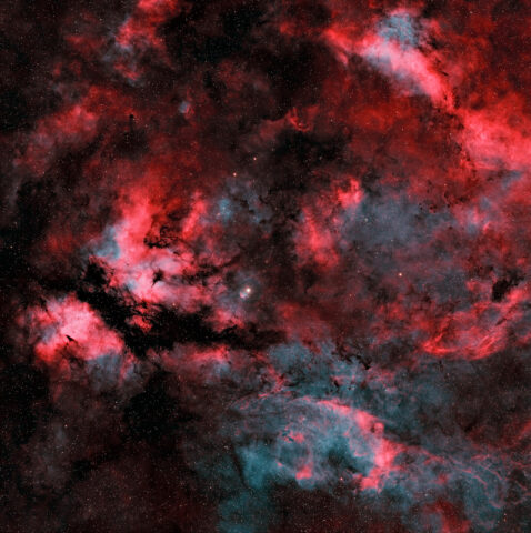 Daniel Main Entry 7 Students