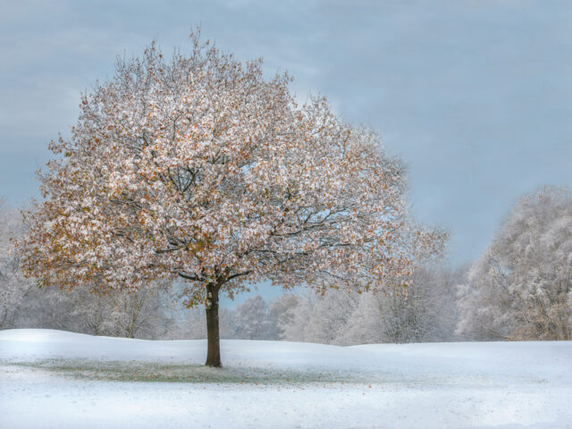 Jane Rowbottom - Entry 1 -Landscape