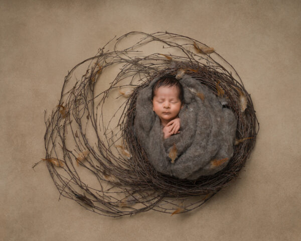 Jitka Wenham-Entry 1-Newborn