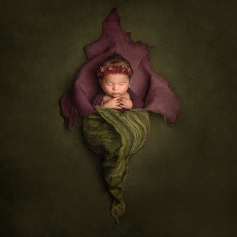 Marietta Balassa - Entry 3 - Newborn