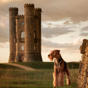 >> ENTER THE PRINT COMPETITION HERE (4 entries for the price of 3)