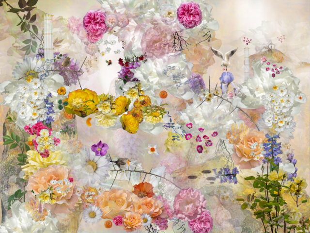 judybrachi-entry3-open